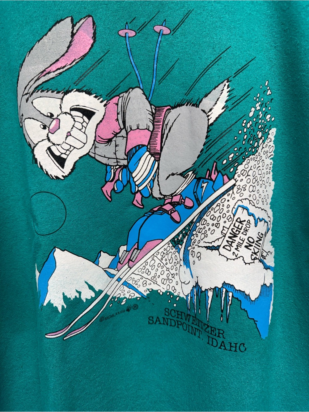 vintage Teal Ski Bunny Graphic Crewneck Sweatshirt - Picture 2 of 4